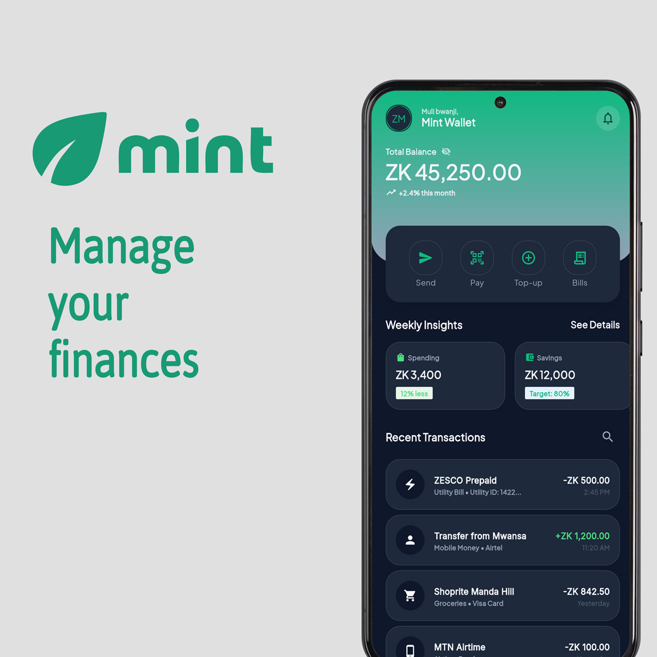 Mint Wallet